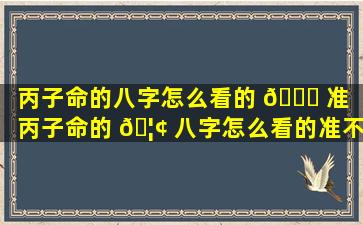 丙子命的八字怎么看的 🐋 准（丙子命的 🦢 八字怎么看的准不准）